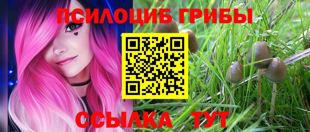 Галлюциногенные грибы мухоморы  где купить наркотик  Советск  Вход с VPN 