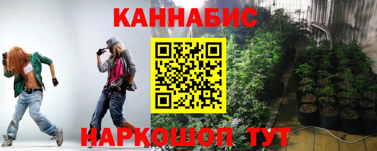 Канабис OG Kush Советск